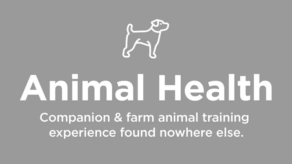 Animal / Companion Animal Training Experience